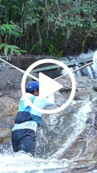 BIB:  <button type="button" onclick="openModal(27705870)" class="btn btn-primary btn-sm float-right" data-toggle="modal" data-target=".modal-high-quality">
                <i class="fa fa-download"></i> Download
                </button>